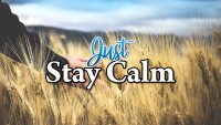 'Just Stay Calm' – Dr Leslie Keegel